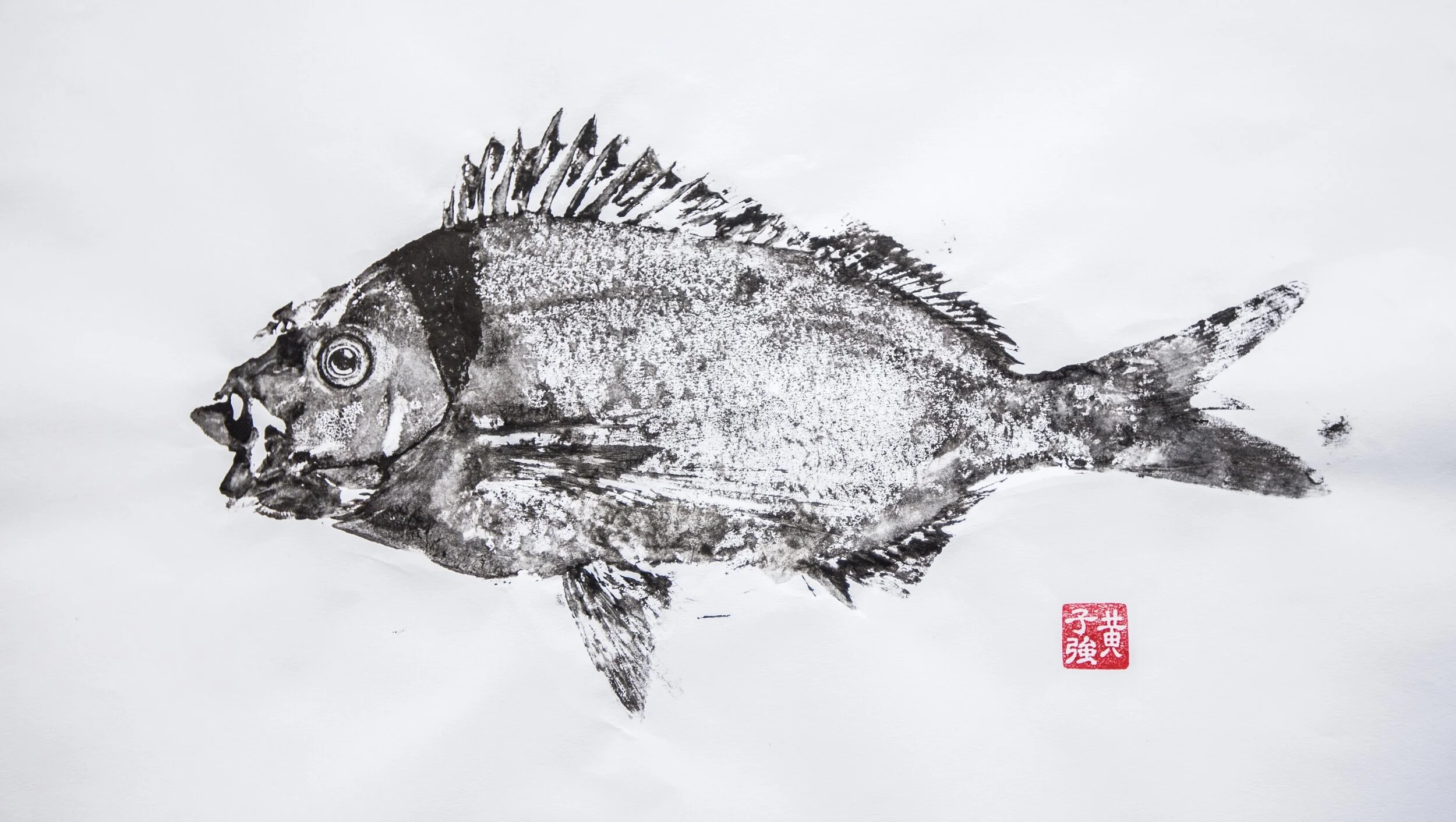 New Zealand Tarakihi by Victor Huang